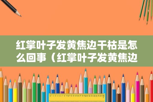 红掌叶子发黄焦边干枯是怎么回事（红掌叶子发黄焦边干枯是怎么回事怎么办）