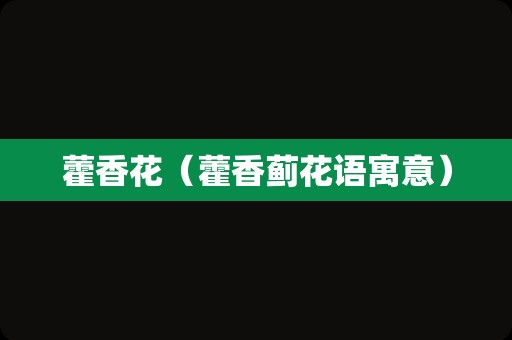 藿香花（藿香蓟花语寓意）