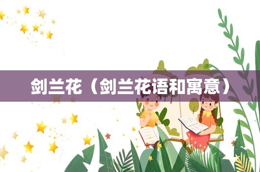 剑兰花（剑兰花语和寓意）