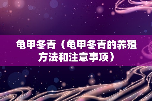 龟甲冬青（龟甲冬青的养殖方法和注意事项）