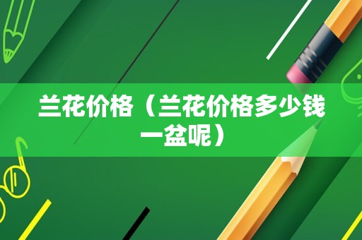 兰花价格（兰花价格多少钱一盆呢）