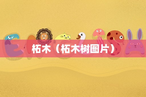 柘木（柘木树图片）
