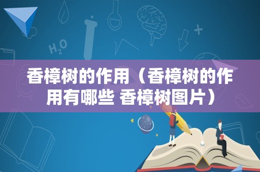 香樟树的作用（香樟树的作用有哪些 香樟树图片）