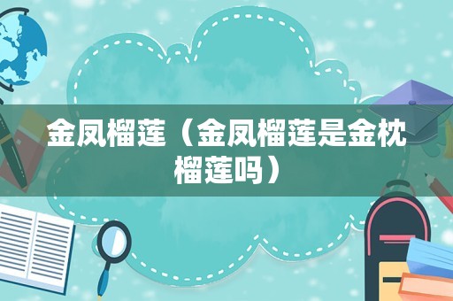 金凤榴莲（金凤榴莲是金枕榴莲吗）