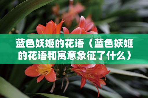 蓝色妖姬的花语（蓝色妖姬的花语和寓意象征了什么）