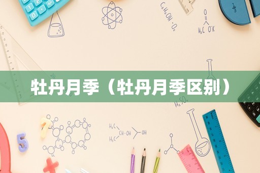牡丹月季（牡丹月季区别）