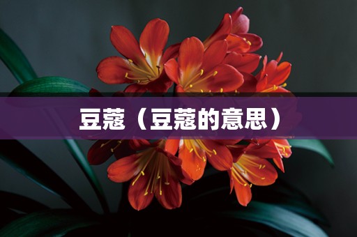 豆蔻（豆蔻的意思）