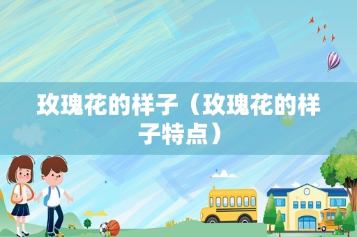 玫瑰花的样子（玫瑰花的样子特点）