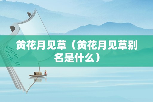 黄花月见草（黄花月见草别名是什么）