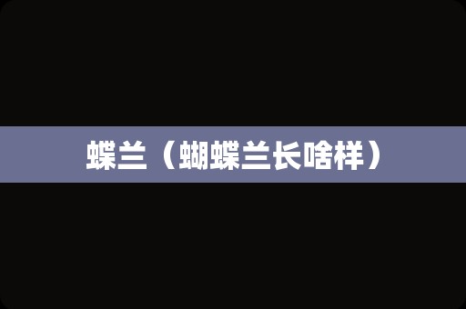 蝶兰（蝴蝶兰长啥样）