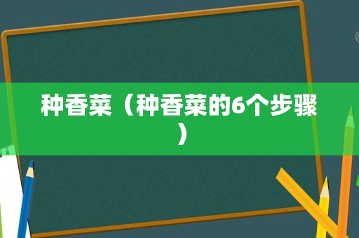 种香菜（种香菜的6个步骤）