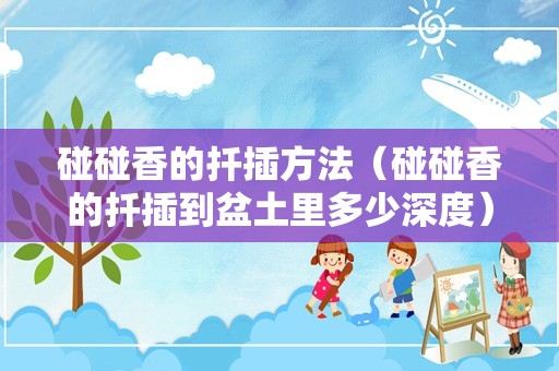 碰碰香的扦插方法（碰碰香的扦插到盆土里多少深度）