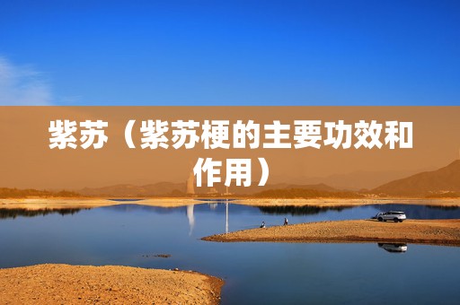 紫苏（紫苏梗的主要功效和作用）