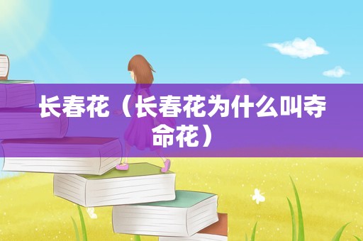 长春花（长春花为什么叫夺命花）