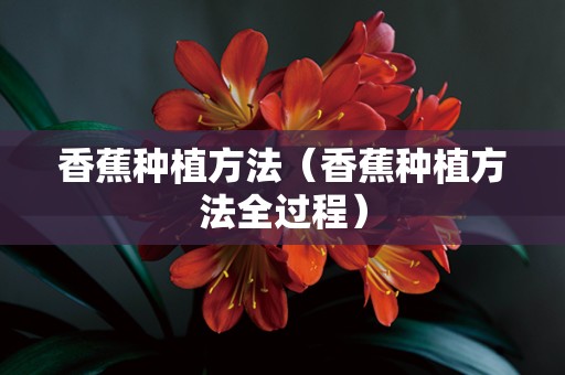 香蕉种植方法（香蕉种植方法全过程）