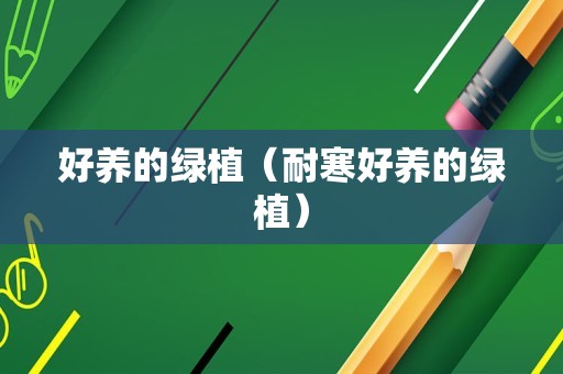 好养的绿植（耐寒好养的绿植）