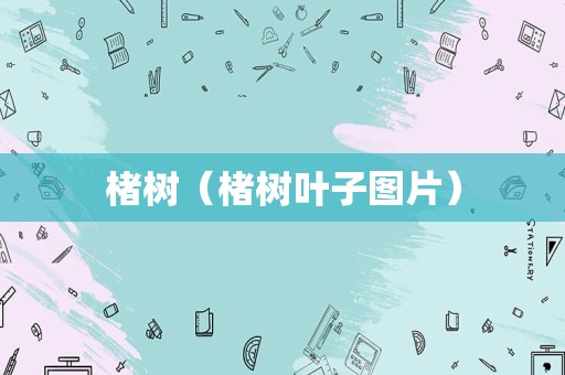 楮树（楮树叶子图片）