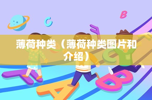 薄荷种类（薄荷种类图片和介绍）