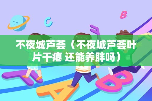 不夜城芦荟（不夜城芦荟叶片干瘪 还能养胖吗）