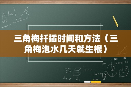 三角梅扦插时间和方法（三角梅泡水几天就生根）