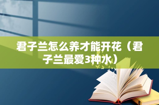 君子兰怎么养才能开花（君子兰最爱3种水）