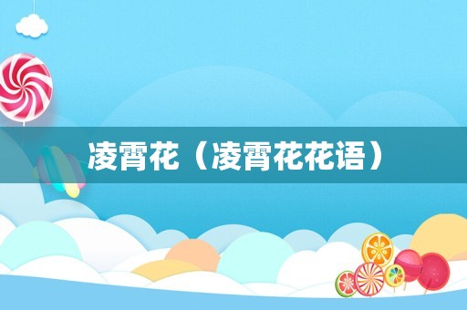 凌霄花（凌霄花花语）