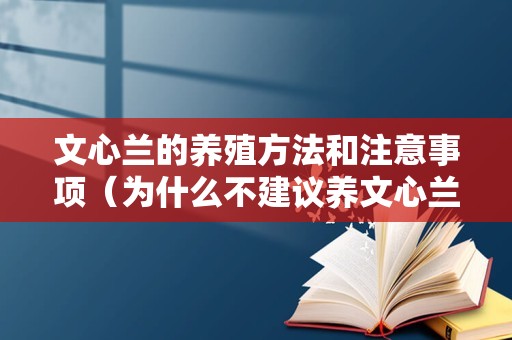 文心兰的养殖方法和注意事项（为什么不建议养文心兰）