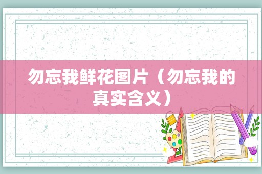 勿忘我鲜花图片（勿忘我的真实含义）