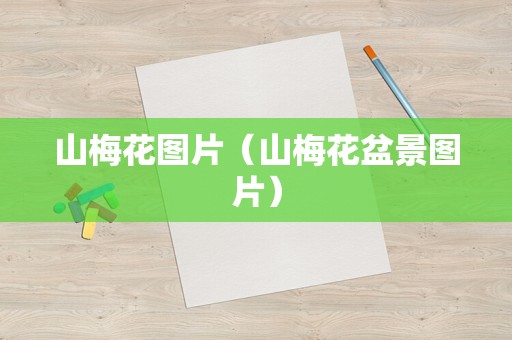 山梅花图片（山梅花盆景图片）