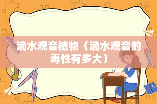 滴水观音植物（滴水观音的毒性有多大）