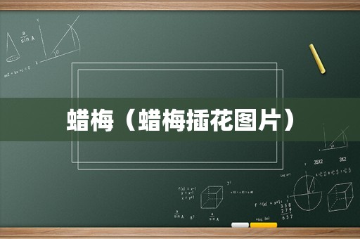 蜡梅（蜡梅插花图片）