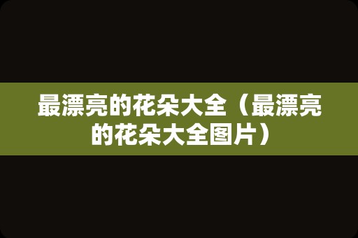 最漂亮的花朵大全（最漂亮的花朵大全图片）