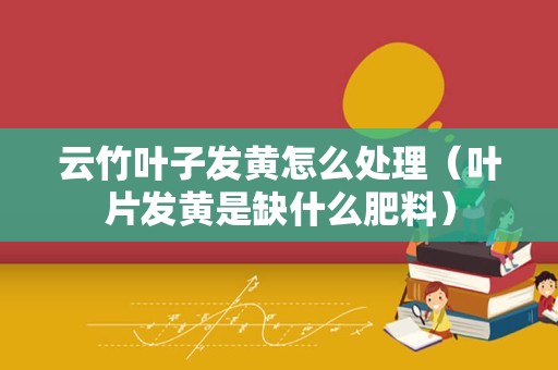云竹叶子发黄怎么处理（叶片发黄是缺什么肥料）