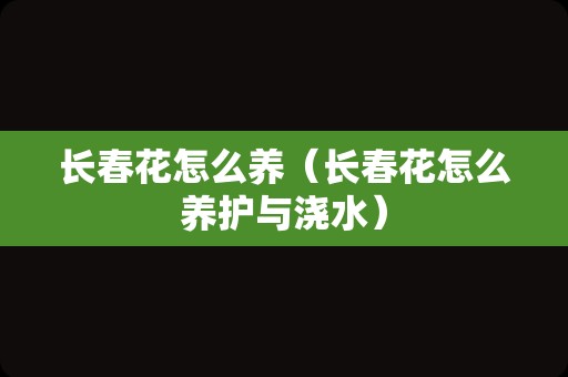长春花怎么养（长春花怎么养护与浇水）