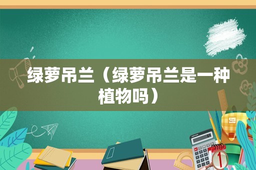 绿萝吊兰（绿萝吊兰是一种植物吗）