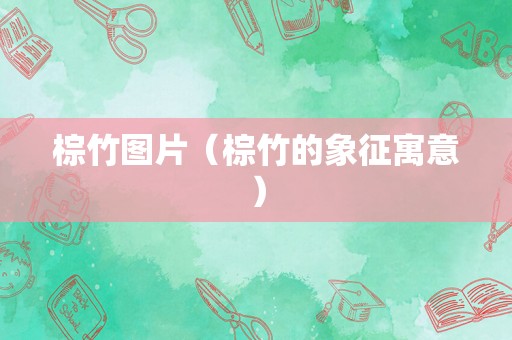 棕竹图片（棕竹的象征寓意）
