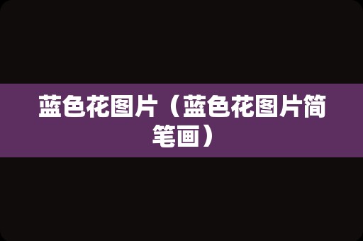 蓝色花图片（蓝色花图片简笔画）
