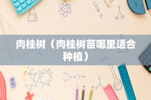 肉桂树（肉桂树苗哪里适合种植）