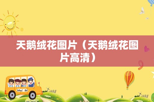 天鹅绒花图片（天鹅绒花图片高清）