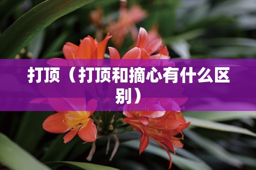 打顶（打顶和摘心有什么区别）