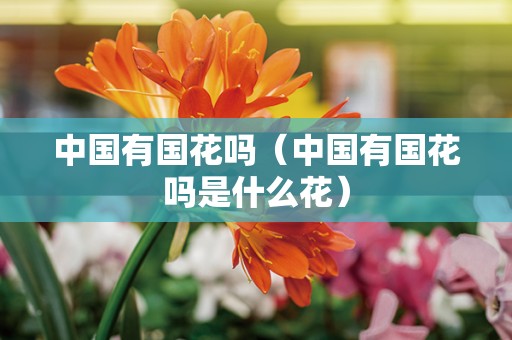 中国有国花吗（中国有国花吗是什么花）