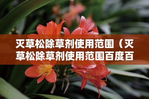 灭草松除草剂使用范围（灭草松除草剂使用范围百度百科）