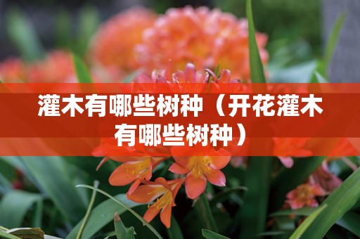 灌木有哪些树种（开花灌木有哪些树种）