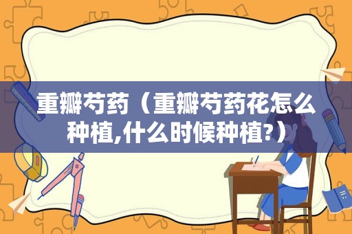 重瓣芍药（重瓣芍药花怎么种植,什么时候种植?）