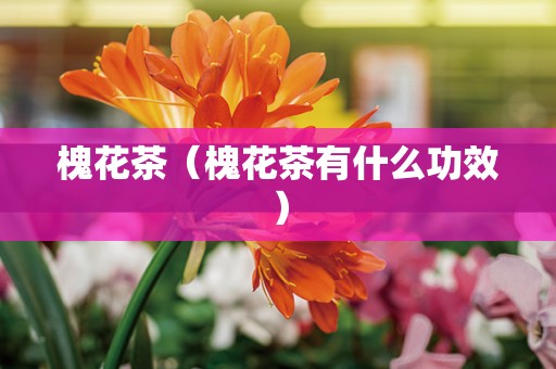 槐花茶（槐花茶有什么功效）
