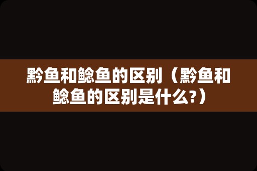 黔鱼和鲶鱼的区别（黔鱼和鲶鱼的区别是什么?）