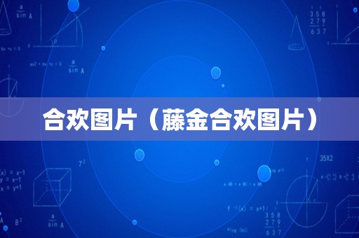 合欢图片（藤金合欢图片）