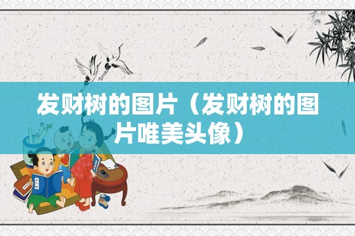 发财树的图片（发财树的图片唯美头像）
