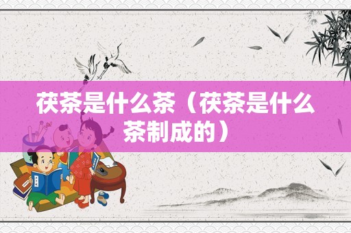 茯茶是什么茶（茯茶是什么茶制成的）