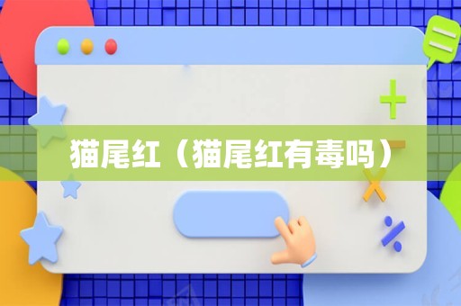 猫尾红（猫尾红有毒吗）